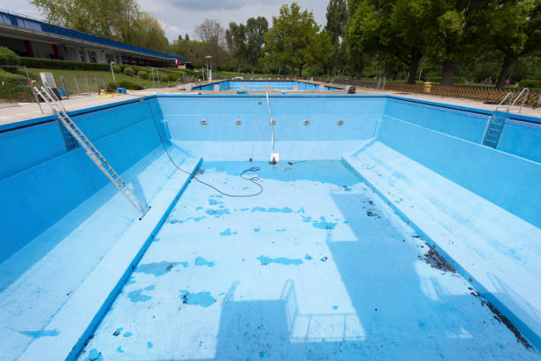 Best Basement water damage restoration  in Kurtistown, HI