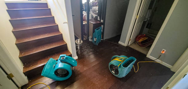 , HI Water damage restoration Company