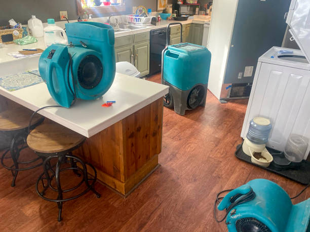 Best Commercial water damage restoration  in Kurtistown, HI