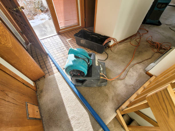 Best Water damage contractors near me  in Kurtistown, HI