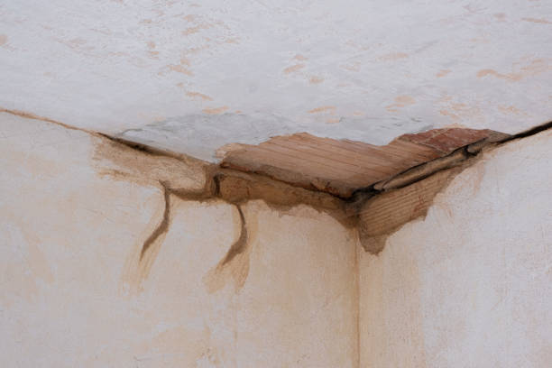 Best Water damage contractors near me  in Kurtistown, HI