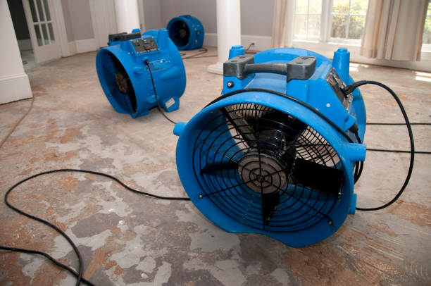 Best Water damage restoration insurance claims  in Kurtistown, HI
