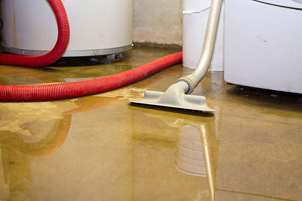 Best Flood damage cleanup  in Kurtistown, HI