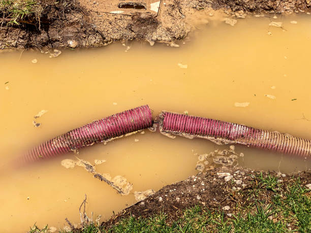  Kurtistown, HI Water damage restoration Pros